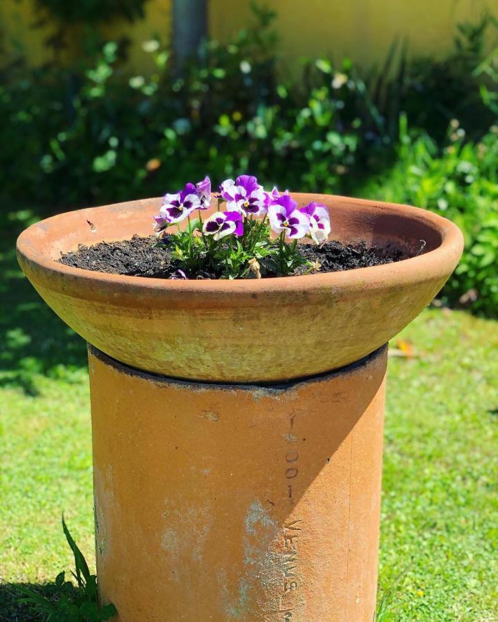 Agroturismo Agriturismo La Conte Lucca